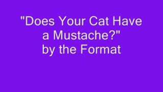 The Format  quotDoes Your Cat Have a Mustachequot [upl. by Irollam694]