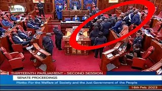 CHAOS ERUPTED IN SENATE AFTER SEN CHERARGEI AND SEN SIFUNA EXCHANGED WORDS FACE TO FACE [upl. by Methuselah281]