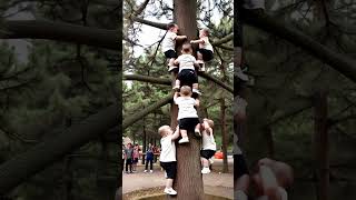 Multiple babies are trained to climb trees The healing smiles of human cubs The carefree childho [upl. by Aicenaj]