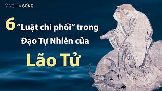 6 “Luật chi phối” trong Đạo Tự Nhiên của Lão Tử [upl. by Winson685]