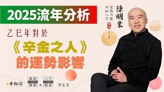 流年分析  2025乙巳年對辛金之人的運勢影響  以四柱八字來看《紫微解密》字幕版 [upl. by Awuhsoj]