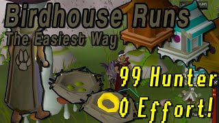 OSRS Efficient Birdhouse Runs  The Easiest Way [upl. by Alue590]