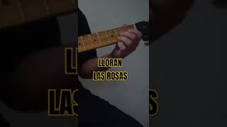 LLORAN LAS ROSAS Guitarra Intro  Tablatura tocaycanta aprenderatocarguitarra shorts [upl. by Portugal]