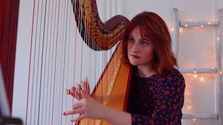 Bigflo amp Oli  Dommage Harp Cover [upl. by Rim649]