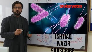 ProkaryotesBacteria lec1 [upl. by Llerdna]