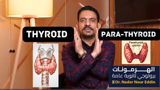 الغدد الدرقية و الغدد جارات الدرقية Thyroid amp Parathyroid glands biology hormones ثانويةعامة [upl. by Adnolay]