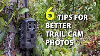 6 Tips for TrailCamera Setup to Get More amp Better Deer Photos [upl. by Atinob746]