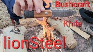 lionSteel B41 Bushcraft Knife Workout Knife test [upl. by Ahsimed]