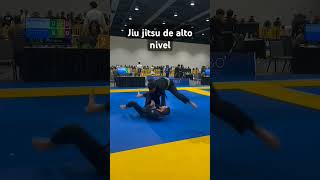 Jiu jitsu em alto nível bjj [upl. by Oenire554]