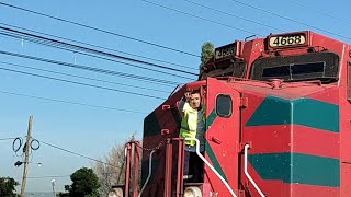 Amigo Garrotero salio a saludar en su paso hacia Manzanillo Colima [upl. by Mckinney138]