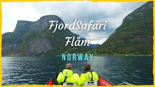 Flåm Fjordsafari Aurlandsfjord Norway  Summer 2021 trip to Norway [upl. by Aloiv]