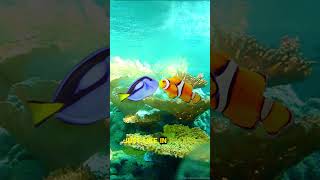 Why Do Clownfish Change Gender A Lesson in Survival [upl. by Zack]