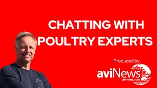 Chatting with poultry experts  Robert Nijkamp  VIV Europe 2022 [upl. by Vullo]