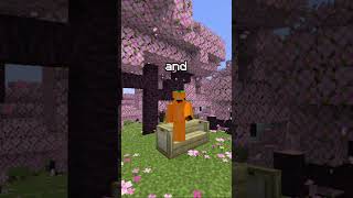 Minecraft Anarchy servers [upl. by Waldack]