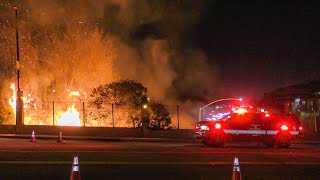 LAFD Multiple Vegetation Fires FS76 Cahuenga Pass 1112024 [upl. by Galina]