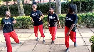 OPEN GATE by Kuami Eugene  DANCE CHOREOGRAPHY [upl. by Anoit]