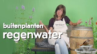 Buitenplanten  regenwater [upl. by Ayyn]