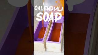 COLD PROCESS soap making CALENDULA LAVENDER PEPPERMINT Fresh ingredients coldprocessedsoap [upl. by Nitsu]