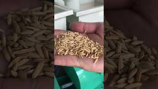 White and green splicing commercial rice huller backbone machine ricemill [upl. by Hareehahs]