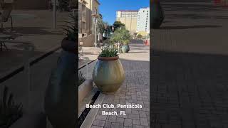 Beach Club pensacolabeach visitpensacolabeach topagent poweragent flrealtor beachclub flbeach [upl. by Dry]