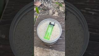 single mom show skills keep the lighter in wild bushcraft outdoor camping survival lifehacks [upl. by Etnecniv]