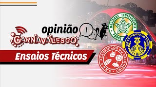 Opinião  Ensaios da Mocidade Tuiuti e Salgueiro [upl. by Buote631]