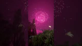 Firework show at woolston manor [upl. by Giardap]