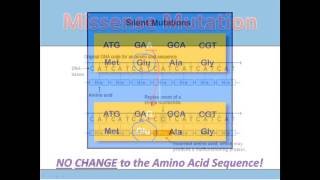 Substitution Mutations [upl. by Argela504]