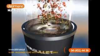 Shperberesi Delimano Nutribullet [upl. by Veronike121]