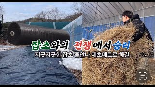 풀안나 잡초방지 제초매트로 잡초 걱정 끝 주말 텃밭에서 설치 찐 후기 [upl. by Benson]