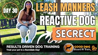 Can You Train a Reactive Dog in 30 Days Mastering Leash Manners [upl. by Enelkcaj]