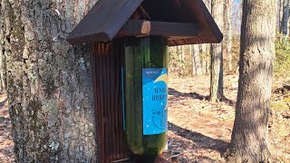 Bottle bird feeder at work easy to make [upl. by Tacita39]