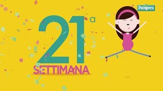 21° settimana di gravidanza [upl. by Aynwad]