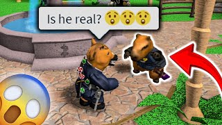 I MET CAPYBARA ROBLOX  MM2 ROBLOX  MEMES [upl. by Aikemit]