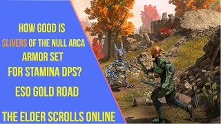 How Good is Slivers of the Null Arca Set for Stamina DPS in ESO Gold Road [upl. by Neelyk585]