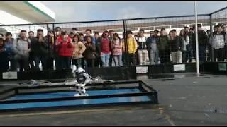 Primer Lugar Robot Bailarín  Torneo de Robótica ESPEL 2019 [upl. by Marienthal852]