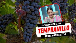 ¡DÍA DE LA UVA TEMPRANILLO PLATIQUEMOS DE ELLA  YoSommelier [upl. by Negem632]