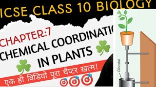 chemical coordination in plants 2 class 10 icse [upl. by Ardnola]