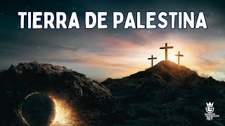 TIERRA DE PALESTINA  Himno Majestuoso 253  Música y Letra [upl. by Eelsnia]