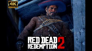 Red Dead Redemption 2 Encontrando Flaco Hernandez e Emmet Granger [upl. by Mallis883]