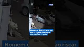 Homem é flagrado ao riscar carros enquanto passeia com cachorro na rua shorts balançogeral [upl. by Ecylahs]