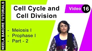 Cell Cycle amp Cell Division  NEET  Meiosis I  Prophase I  Part  2  Neela Bakore Tutorials [upl. by Arny737]