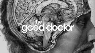 The good doctor theme song original with download link [upl. by Yesor661]