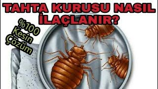 Evde tahtakurusu var ne yapacağım Hangi ilacı kullanırsam ölür Nasıl kurtulurum [upl. by Pilar]