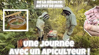 COMPRENDRE L’APICULTURE 🥰😍 [upl. by Xonk]