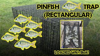 Pinfish Trap  2024 Rectangular Model Walkthrough [upl. by Nedyarb841]