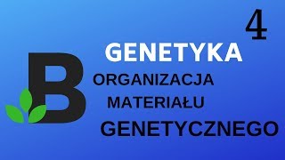 Organizacja materiału genetycznego  genetyka  KOREPETYCJE z BIOLOGII  194 [upl. by Arissa]