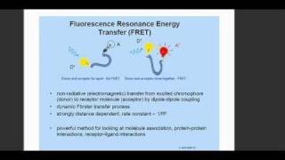 lecture 4 part 4 FRET [upl. by Alfonso342]