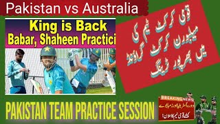 Practice Session pakistan cricket team  Pakistan tour of Australia  Pak vs Aus [upl. by Aivax]