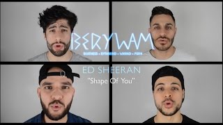 Berywam  Shape Of You Ed Sheeran Cover  Beatbox [upl. by Nylorac854]